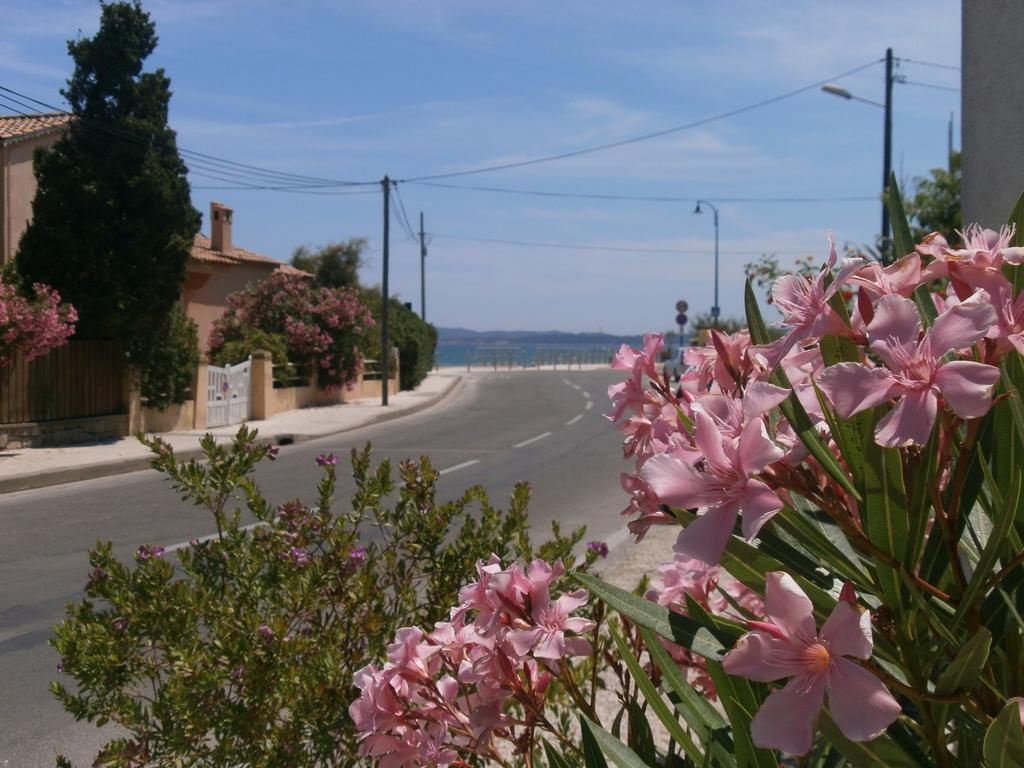 Hotel Le Calypso Hyères Eksteriør billede